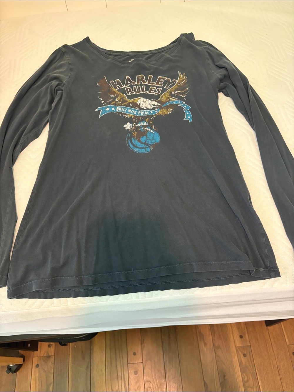 Harley-Davidson Black Long Sleeve Tee with Blue & Gold Graphic